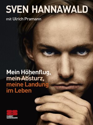 cover image of Mein Höhenflug, mein Absturz, meine Landung im Leben